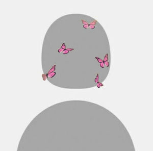 Meet your Posher, Eva